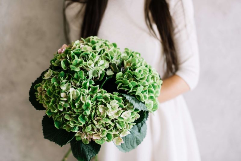 Свадебный букет из зеленых гортензий