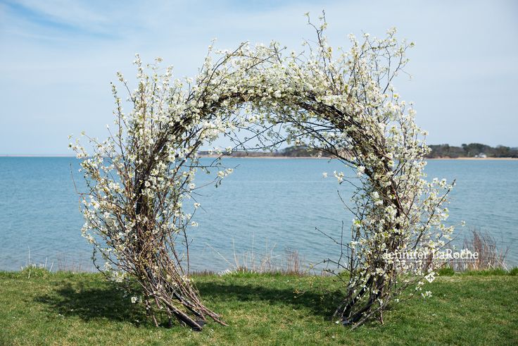 свадебная арка весенняя